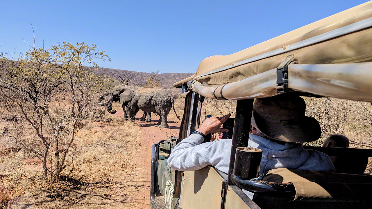 African Safari - Phone Photos! - The World Tour - Travel Adventure Club