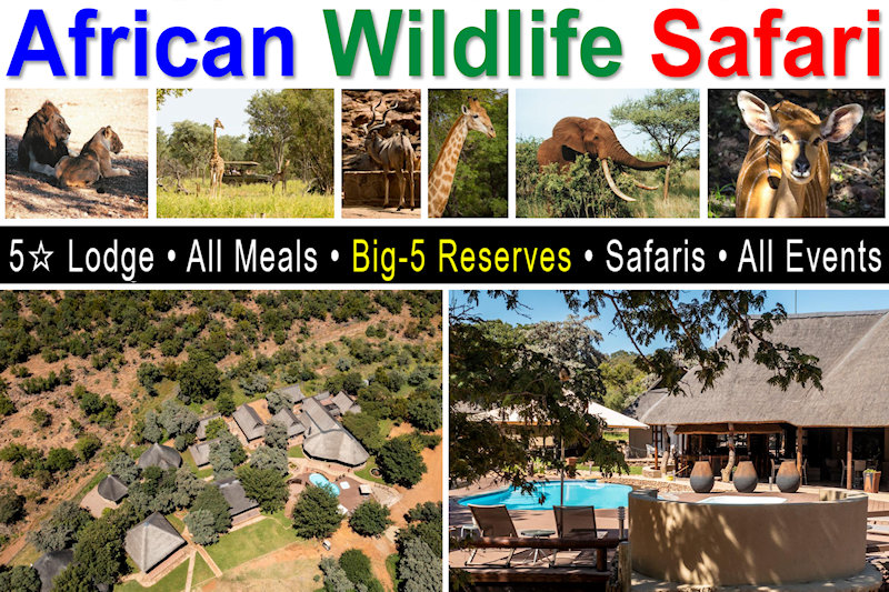 Africa Wildlife Safari - All-Inclusive - Jult, August & September 2027
All-Inclusive: Lodging, Meals, Events, Big-5 Safaris & more INCLUDED!
8+ Wildlife Drives • River Safari Cruise • Night Safaris • Campfire Dinners • Four Wildlife Reserves • Tribal Night • Bush Walks/Hikes • Events & more!
Malaria Free, Private Waterberg Mountains Reserve.